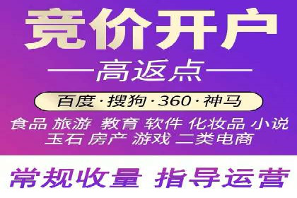 百度竞价策略解析：案例分析及优化建议